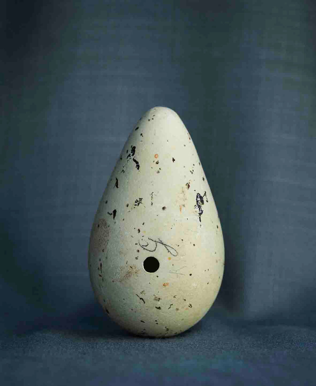 Guillemot Egg IV