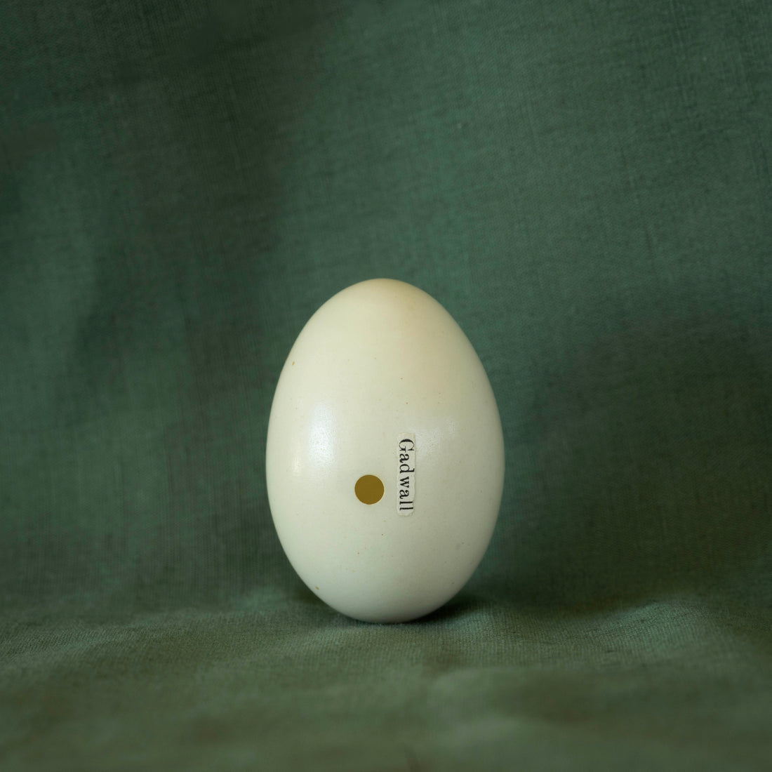 Gadwell Egg