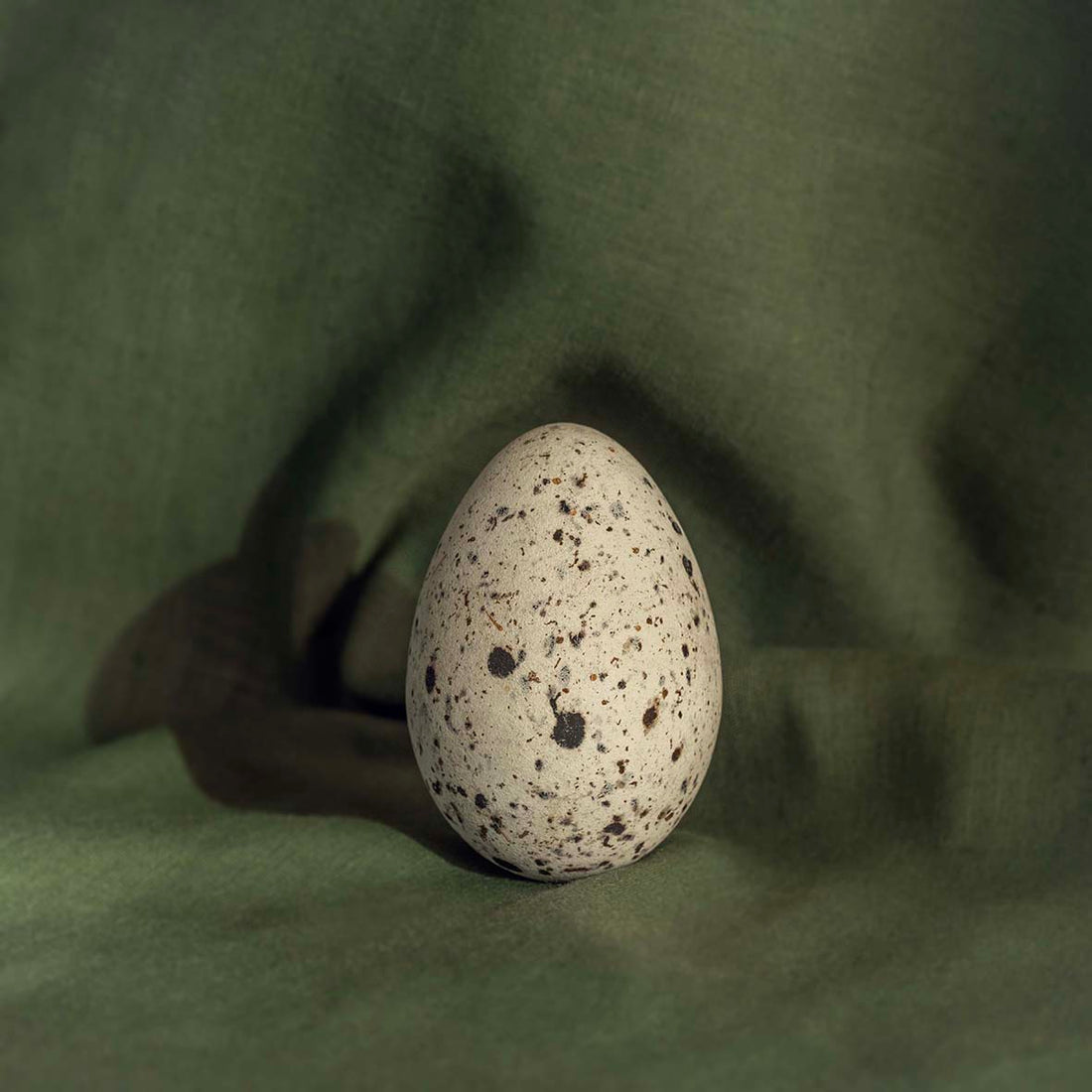Razorbill Egg III