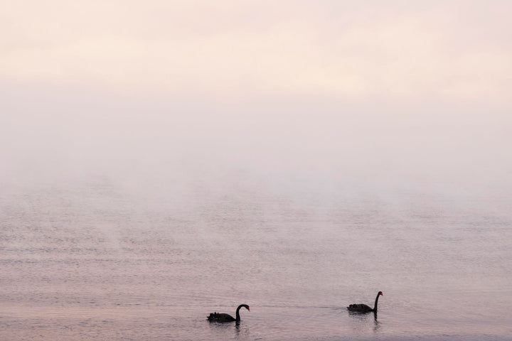 Morning for Taupo, 2022