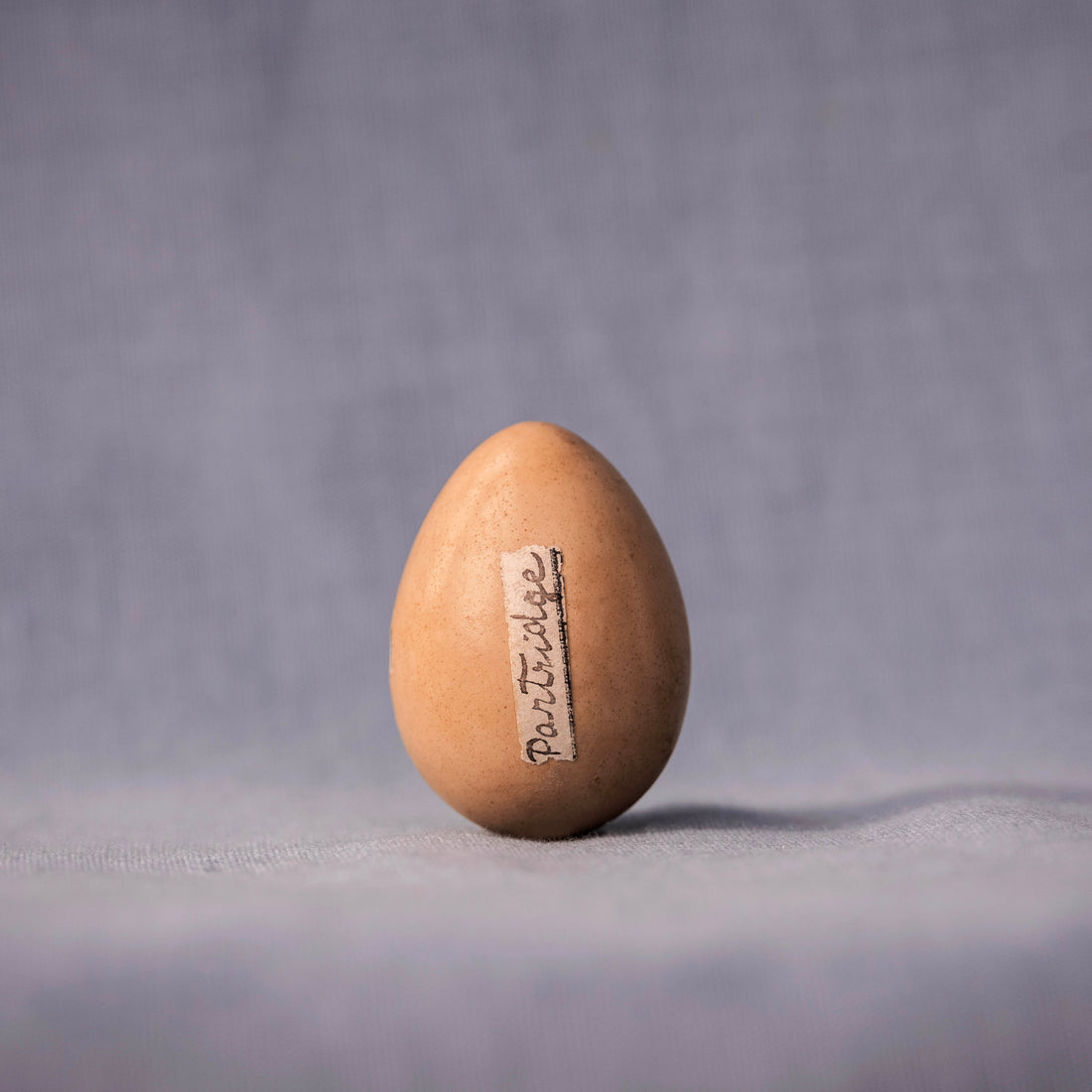 Partridge Egg