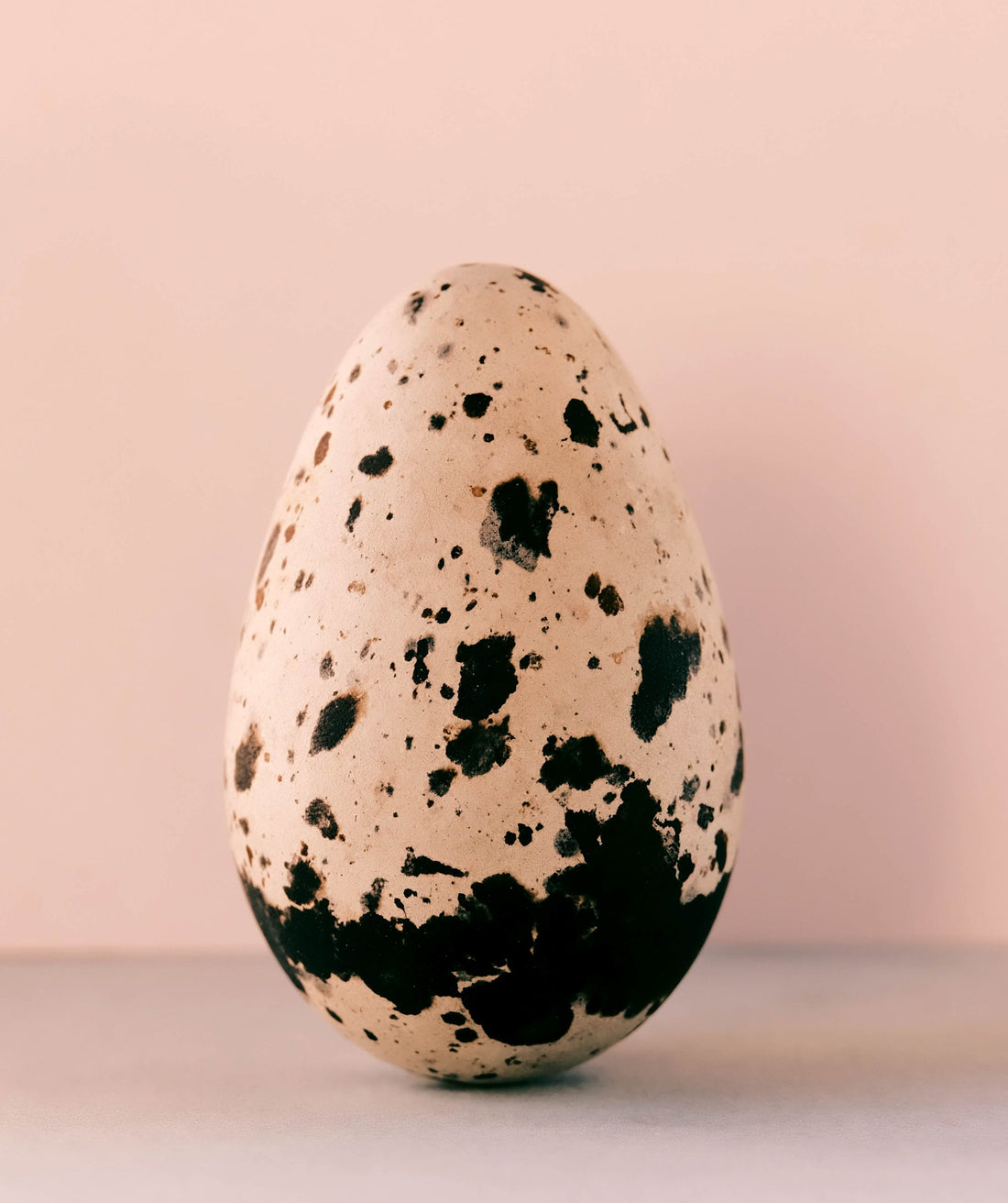 Common Guillemot Egg II, 2025