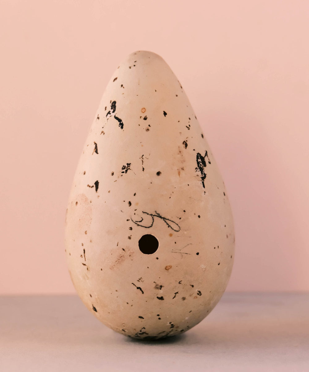 Guilletmot Egg II, 2025